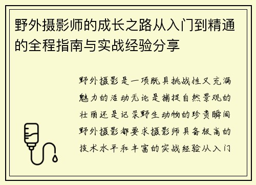 野外摄影师的成长之路从入门到精通的全程指南与实战经验分享 野外摄影师的成长之路从入门到精通的全程指南与实战经验分享